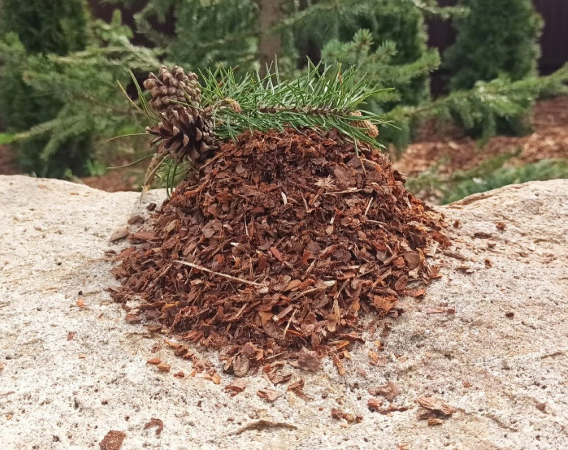 Кора сосны гумус 1 см - вид 2