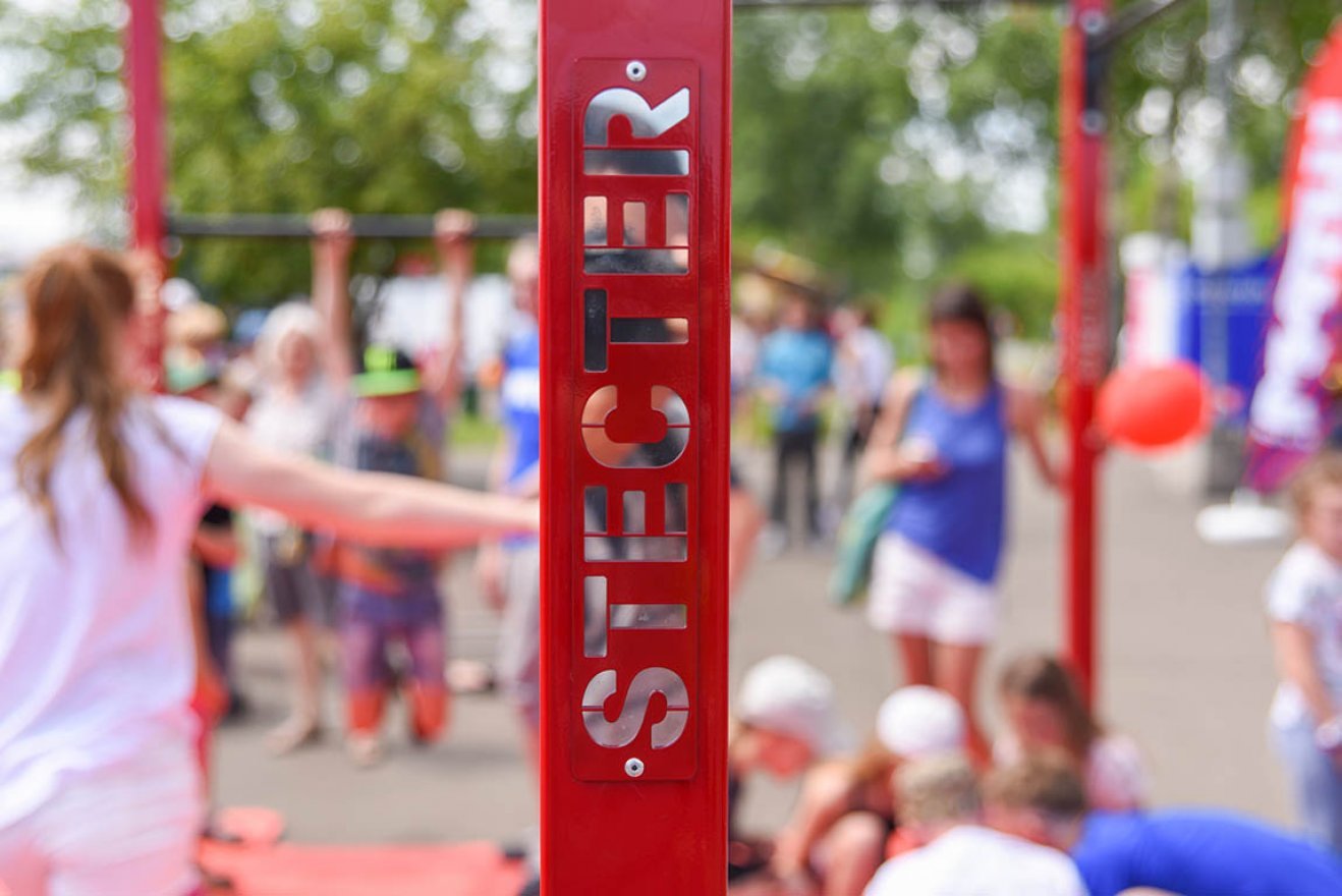 Мобильный комплекс для Воркаут и ГТО Стандарт-8 - вид 2