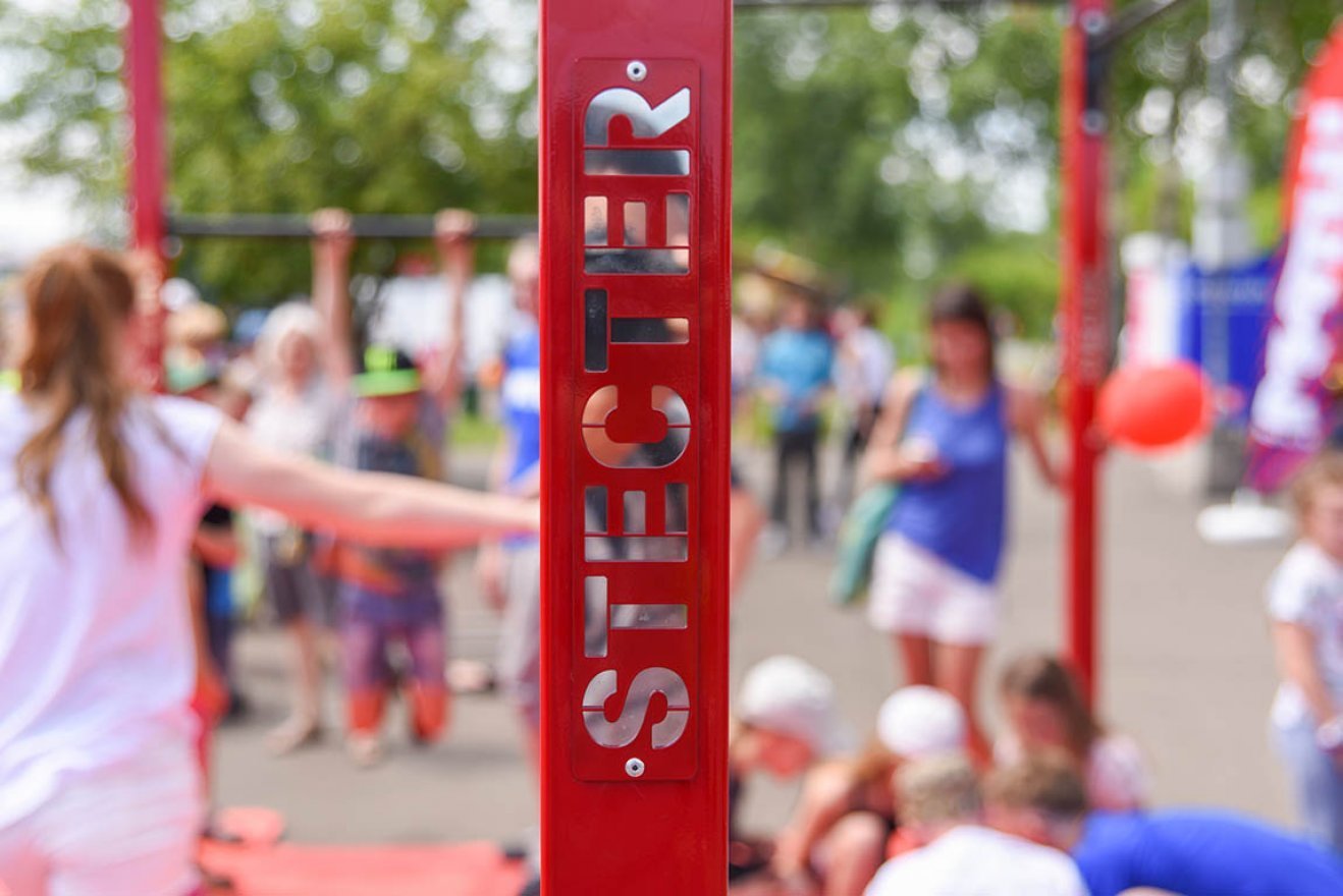 Мобильный комплекс для Воркаут и ГТО Стандарт-10 - вид 2