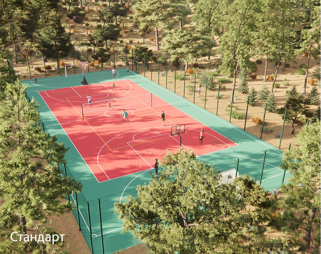 Уличная универсальная спортплощадка TORUDA SP-1 (43х21, игровое поле 40х20) - вид 2