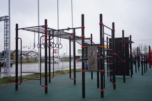 Администрация Заневского г. п., ноябрь 2025, г. п. Заневское - вид 2